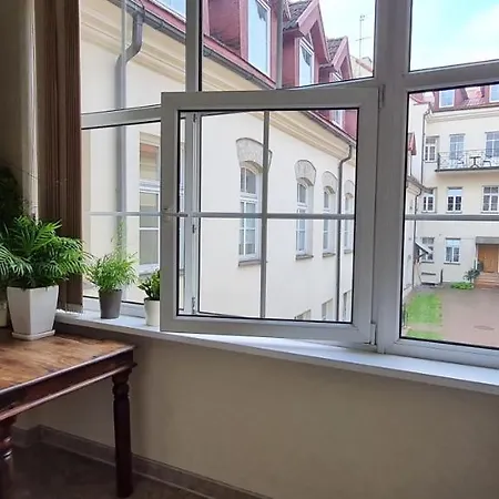Old Town Apartment וילנה